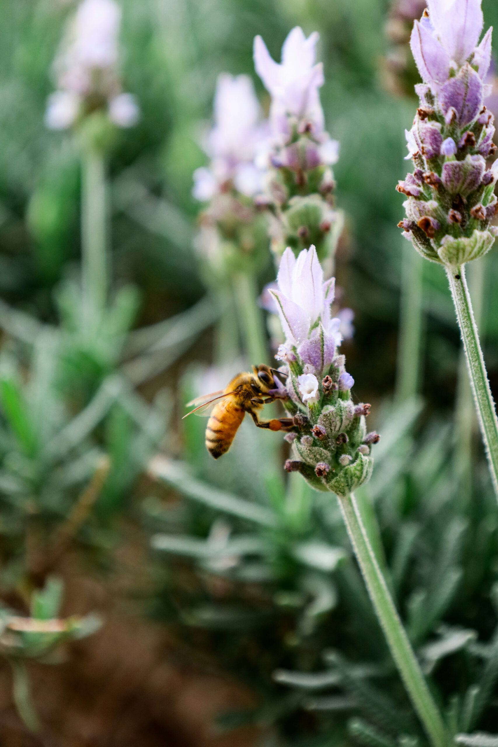 gaby-francis-6Q6_xOm2eds-unsplash