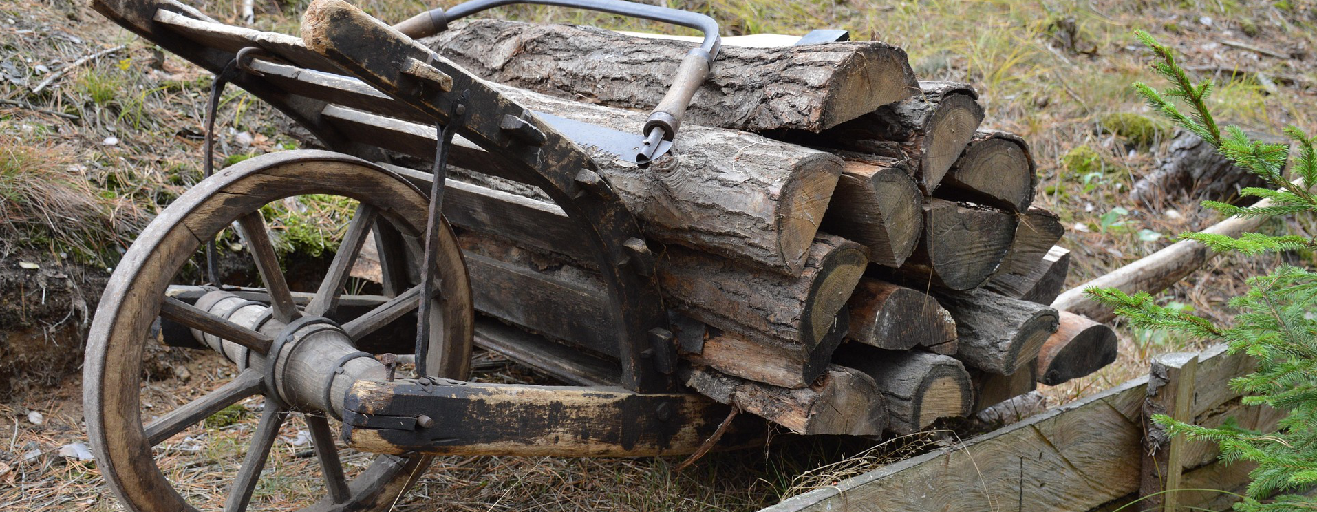 Holz auf Schubkarre