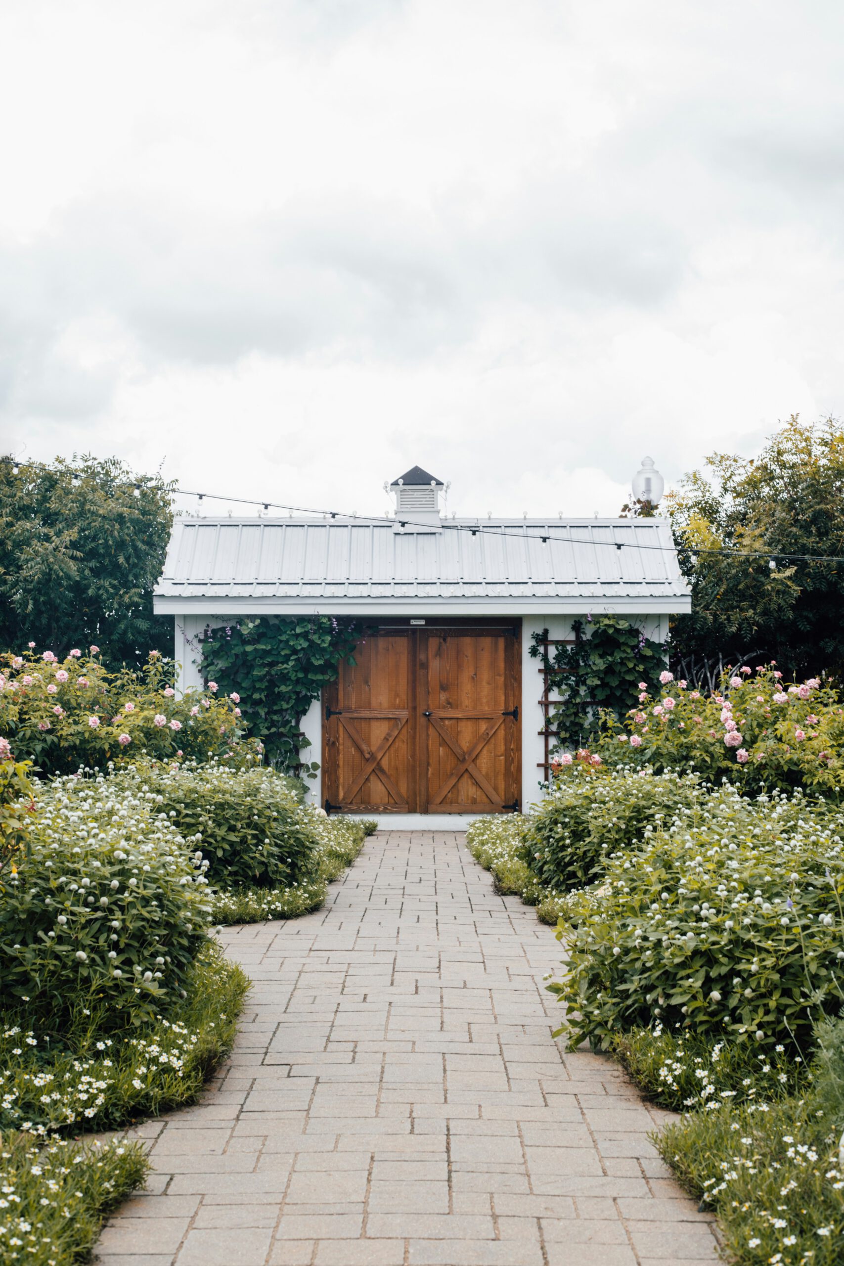 annie-shelmerdine-oTH0rBJi86k-unsplash